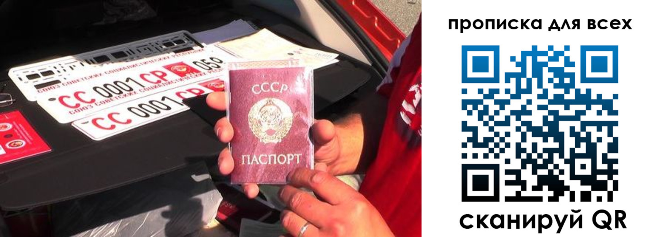 прописка для школы в Петровске